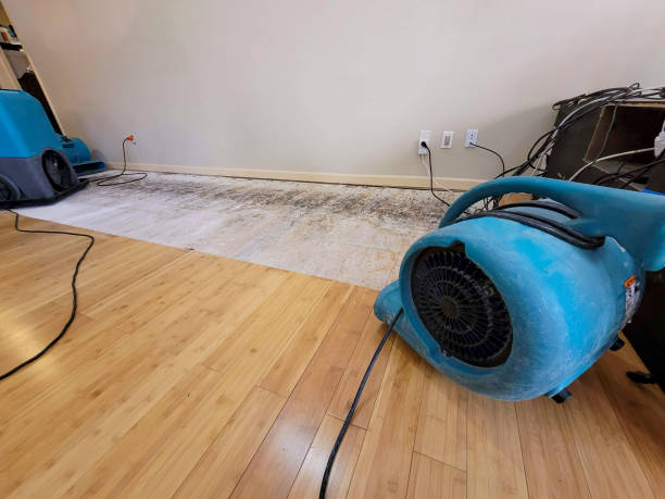 Professional Water Removal technician working in Porterville, CA